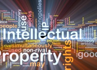 Intellectual Property Protection: Safeguarding Your Business Assets