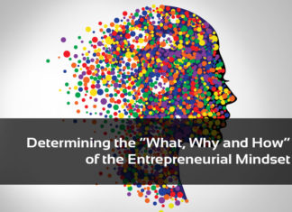 Risks and Rewards: Understanding the Entrepreneurial Mindset