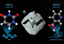 Life’s Building Blocks Found in Asteroid: Hayabusa2 Unveils RNA & Vitamin B3 Secrets