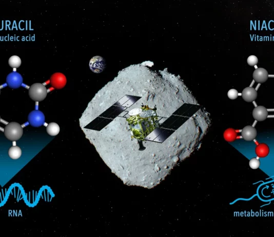 Life’s Building Blocks Found in Asteroid: Hayabusa2 Unveils RNA & Vitamin B3 Secrets