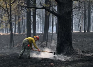 New Mexico’s Devastating Wildfire: A Tragedy Unfolds as Homes, Livelihoods, and Way of Life are Lost