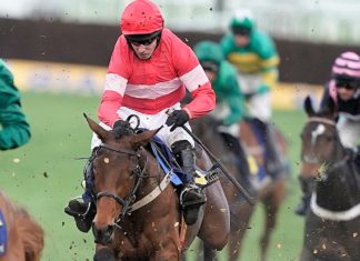The Cheltenham Festival: A Must-See Event for Horse Racing Fans