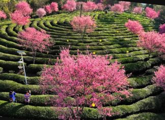 Unlocking the Mysteries of the Spring Equinox: A Burst of Festivities and Cultural Traditions