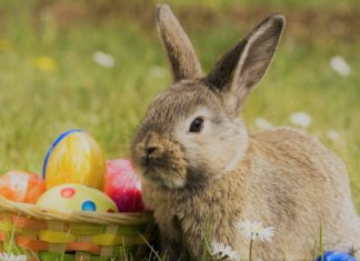 Unravel the Enigma: British Easter Traditions Unveiled
