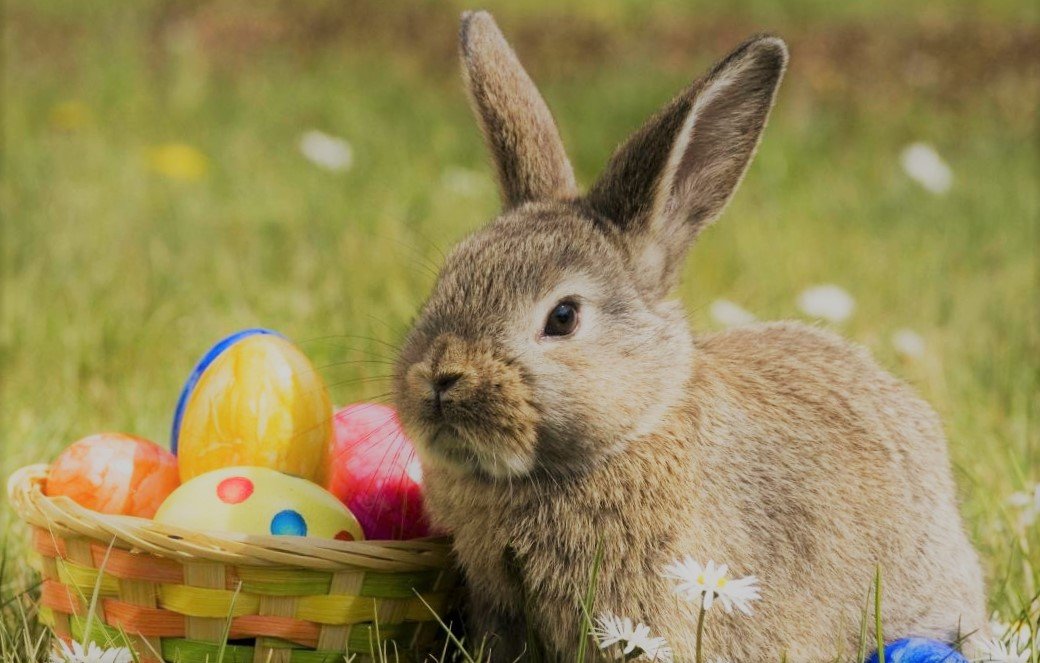 Unravel the Enigma: British Easter Traditions Unveiled